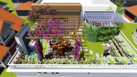Design solution "roof garden"
